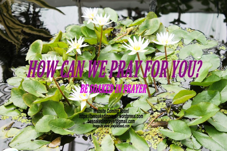 How May We Pray For You?