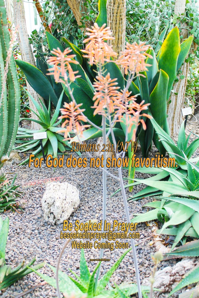 Romans 2:12 For God does not show favoritism.