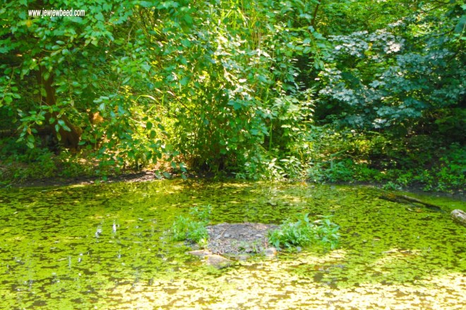 A Little Quiet Time With God.