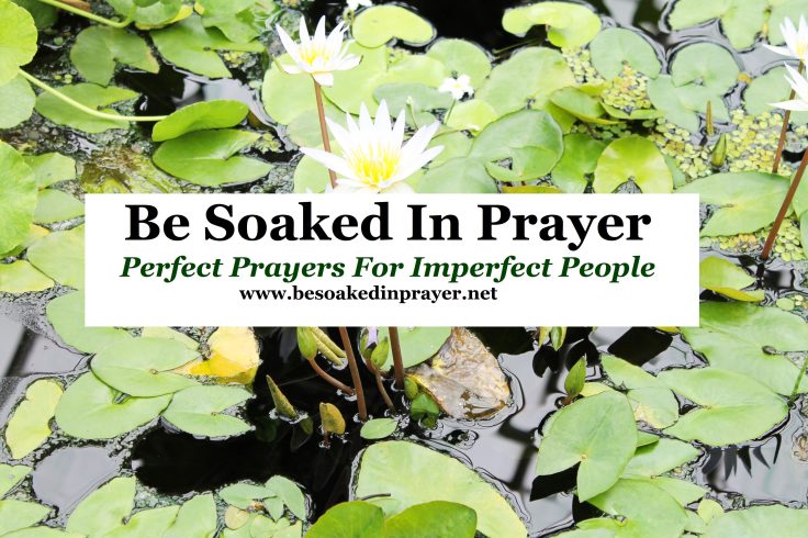Be Soaked In Prayer 